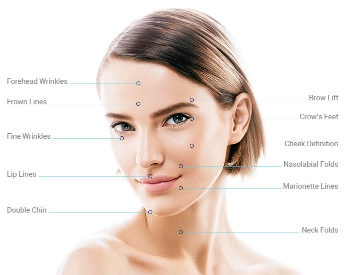 medical terminology for face